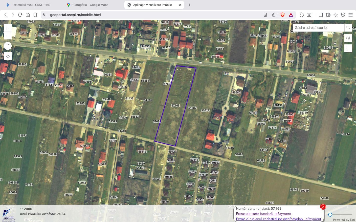 Teren intravilan construibil 7.500 mp Ciorogarla Ilfov - Poză 2