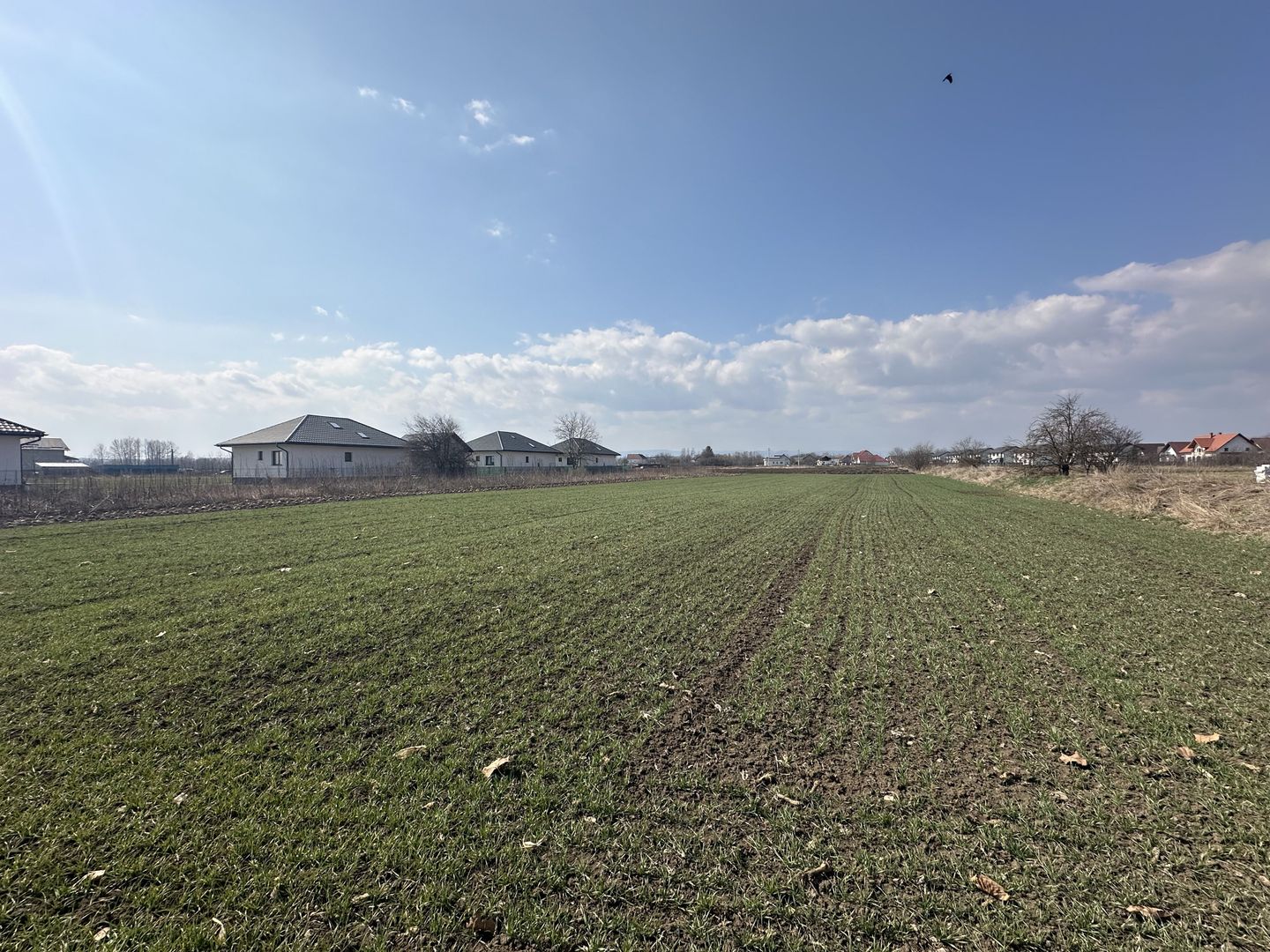 Teren intravilan 20 ari | Rădăuți | Front stradal 19.49 m - Poză 7