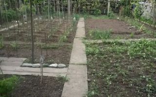 Casa individuala | Acces Auto | Teren 460MP | C. Dumbravii - Poză 2