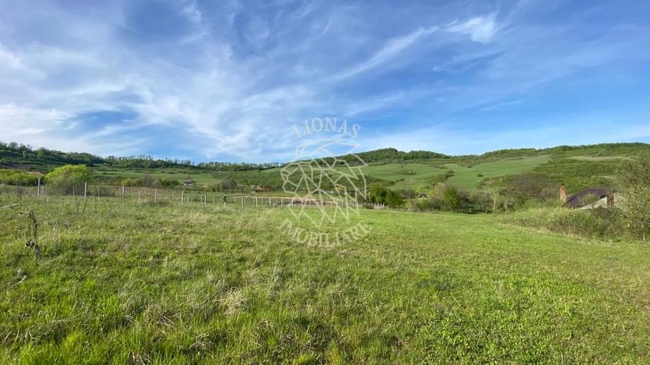 Teren 2160 mp - pretabil pentru cabana - investitie - Jelna - Poză 6