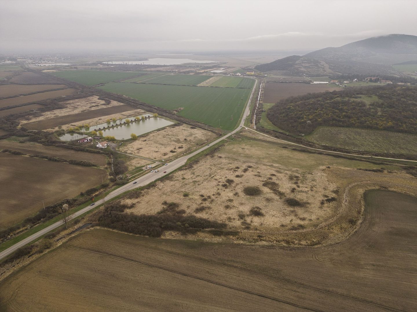 Teren extravilan in Ineu - Poză 6