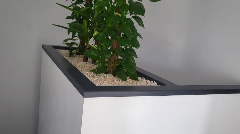 Vila Individuala langa Padure | Balotesti | Lux | Piscina - Poză 14