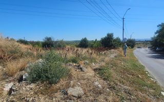 Teren intravilan 14.168 mp – pozitie excelenta la intrarea in Braila - Poză 9