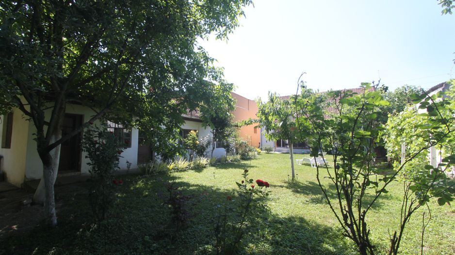 Vila-Timisoara -aleea Ghirodei-comision zero - Poză 1