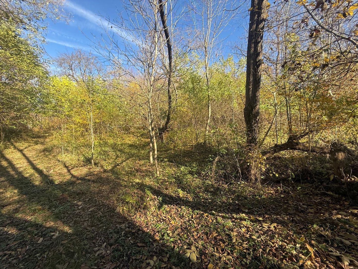 Teren langa pădure 6400mp+casa demolabila-deschidere 35 ml - Poză 5