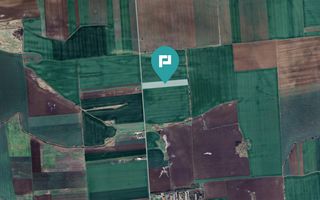 Teren 30.000 mp cu acces asfaltat – Peciu Nou - Poză 3