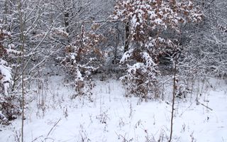 Super oferta I teren intravilan de vanzare in Cisnadie - Poză 6