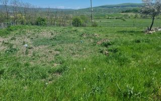 Teren de 1000 mp în Comuna Ciurea, Iași – Oportunitate de Investiție - Poză 3