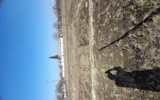 Loc de casă în Prisecani, comuna Popricani - Poză 4