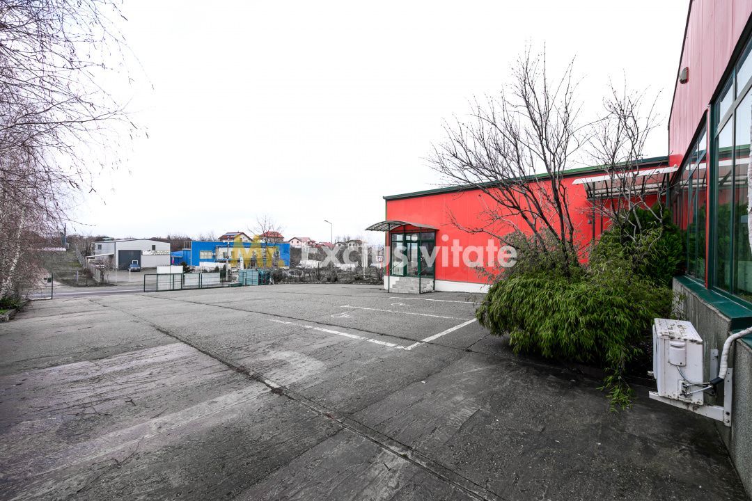 HALA INDUSTRIALA 595 MP | DN 65B – BRADU | CURTE 1.466 MP | AUTOSTRADA - Poză 11