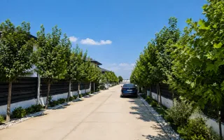 Gata de Mutare! Str. Miorița Berceni | 360 mp Teren | Facturi Reduse - Poză 22