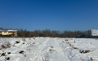 BRANESTI | Soarelui | Vedere lac | Toate utilitatile | 10 min Pallady - Poză 7