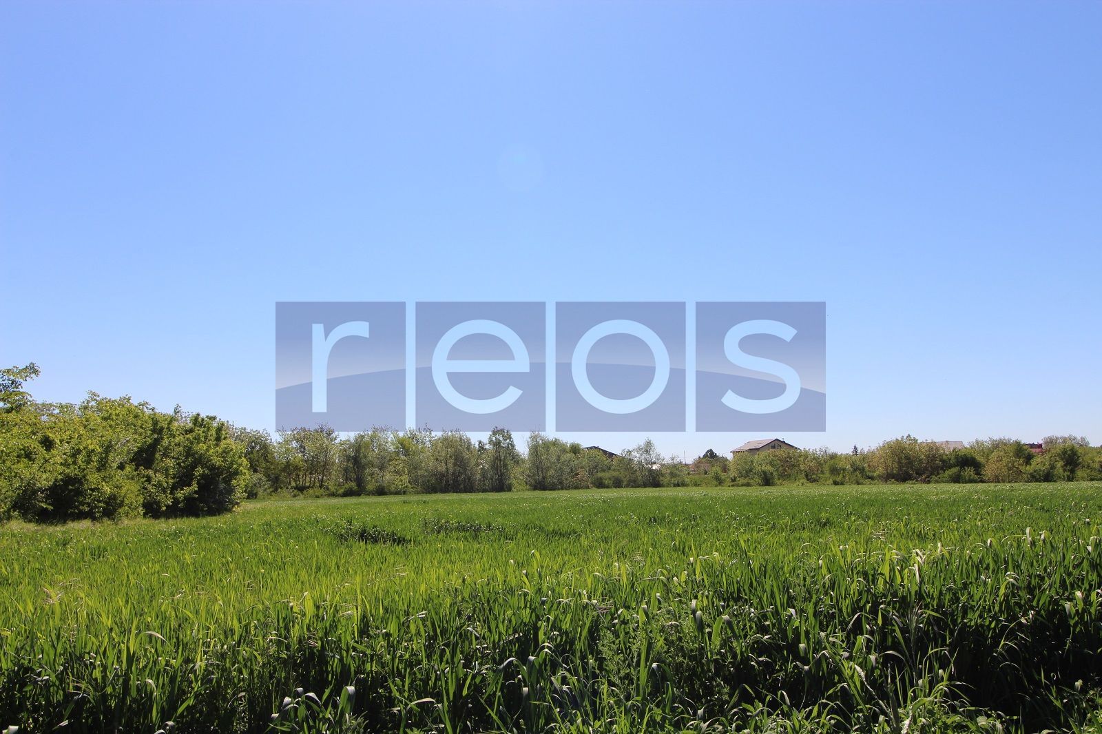 Teren 32000 mp Racari deschidere 82 mp - Poză 7