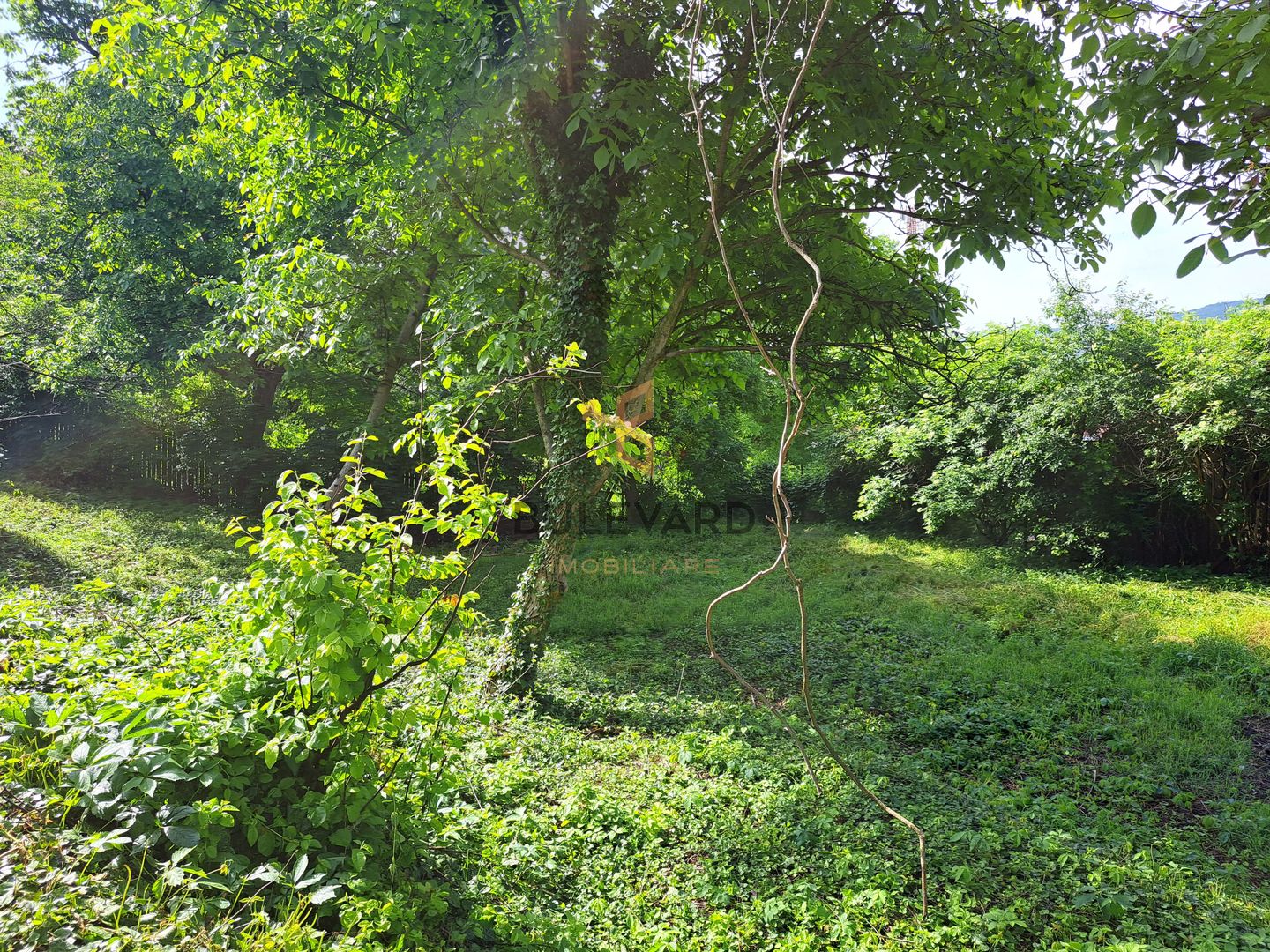 Casa individuala + teren 947 mp - Poză 19