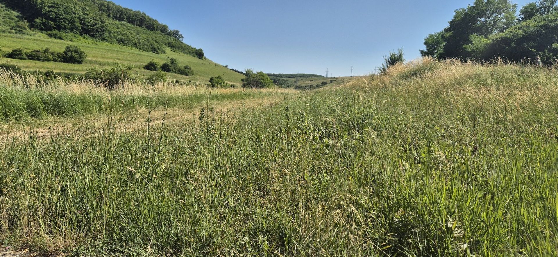 Vand teren Hala  ,  casa , duplex ,la asfalt Luna de sus 1000mp - Poză 7