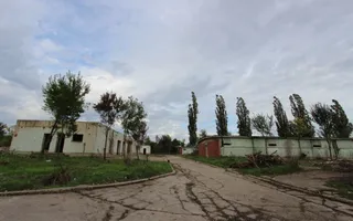 Vanzare hale Mosnita Noua-fosta Ferma 7 - Poză 11