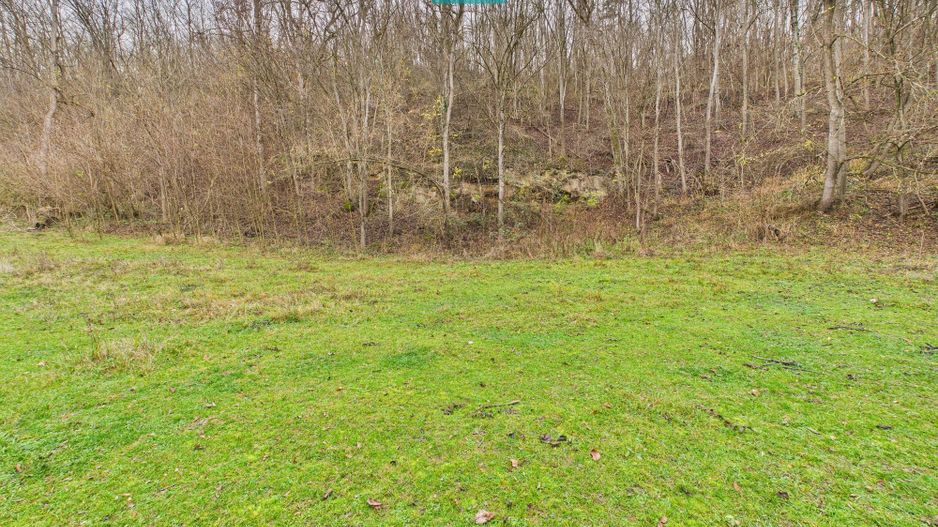 Casă cu teren de 24.679,73 mp, în Hălmagiu, Arad - Poză 25