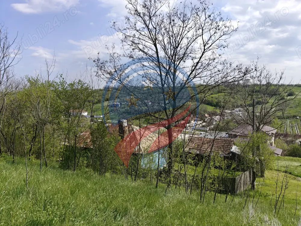 CASA LA 20 KM DE CRAIOVA CU 10000 MP. TEREN - Poză 1