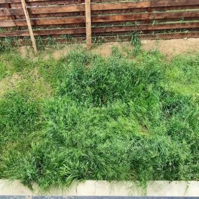 Casa tip duplex Horpaz Miroslava - Poză 7