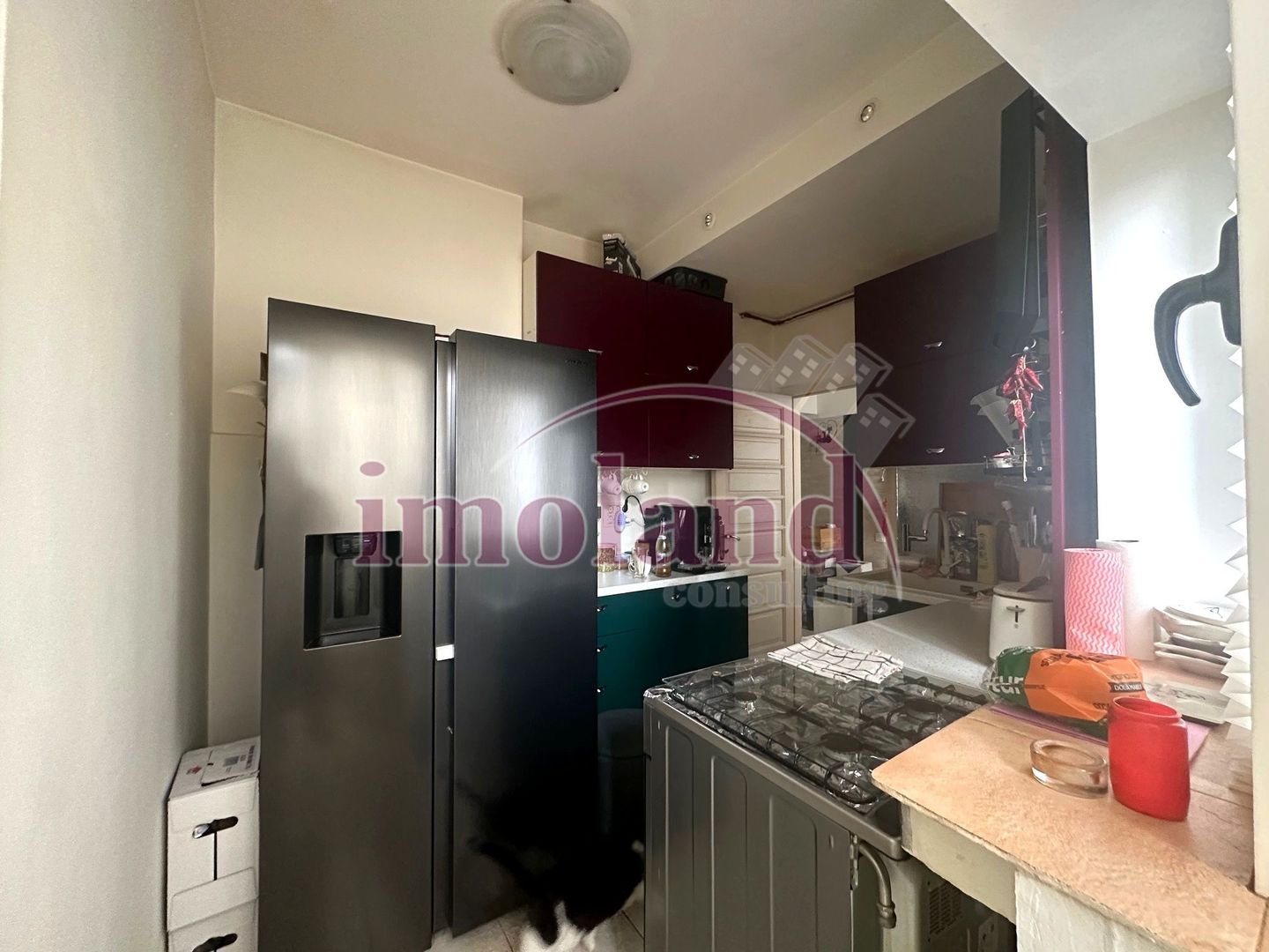 Vanzare Apartament 3 Camere - 94mp utili - Ultracentral str Vasile Lascar - Poză 11