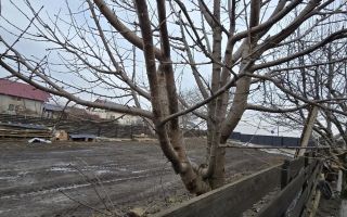 inchiriez 450mp teren la strada - Poză 1