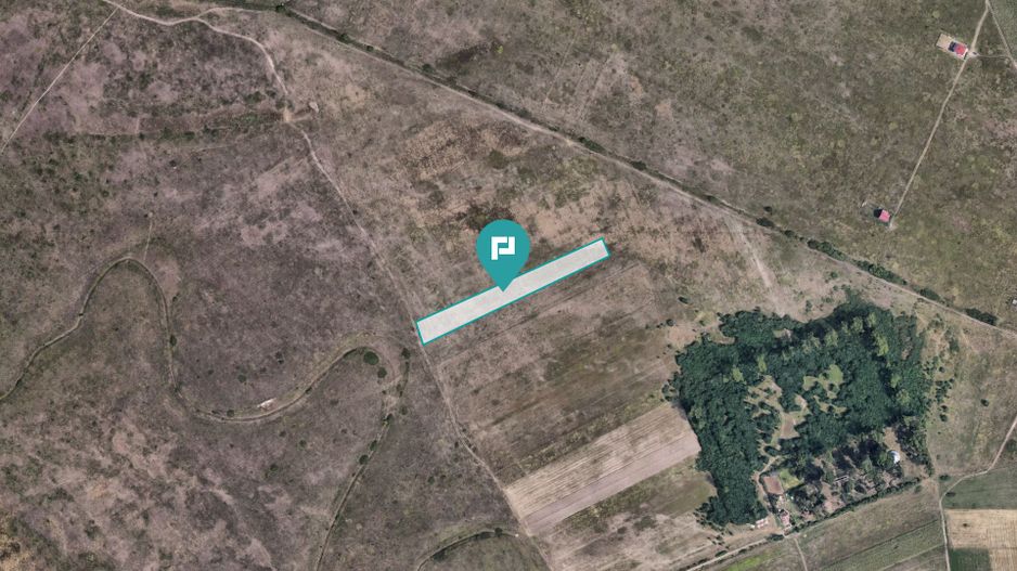 Teren extravilan de 10.000 mp - Poză 6