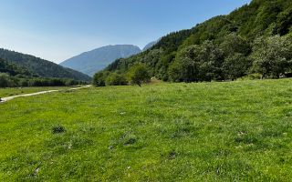 2 Loturi a 2124+2744mp Barsa Fierului / Plaiul Foii - Poză 9