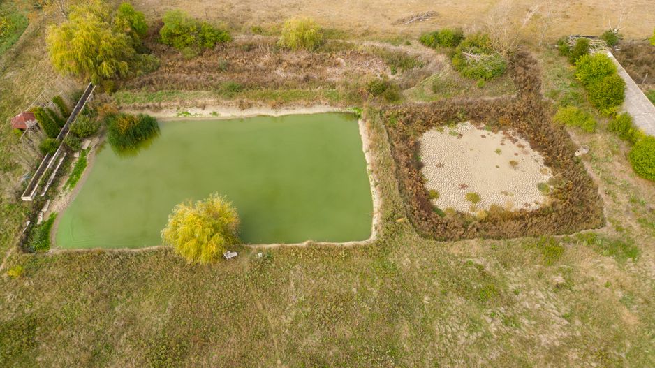 Teren 13.418 mp intravilan cu casă și 2 iazuri - Poză 8