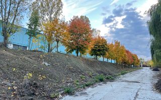 Chirie Spatii industriale 1500-80000 m² - Poză 13