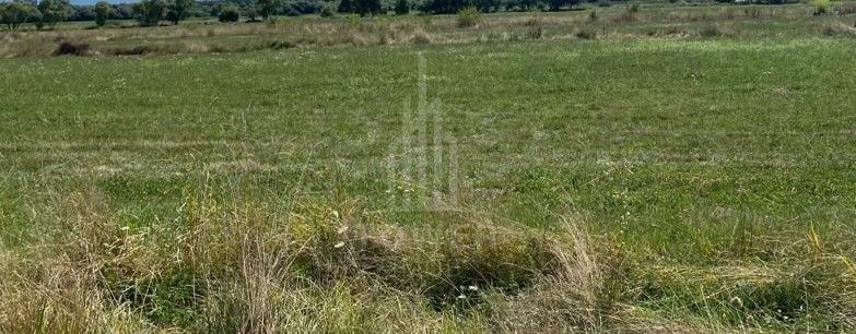 Teren de vânzare | Șura Mare - Poză 1