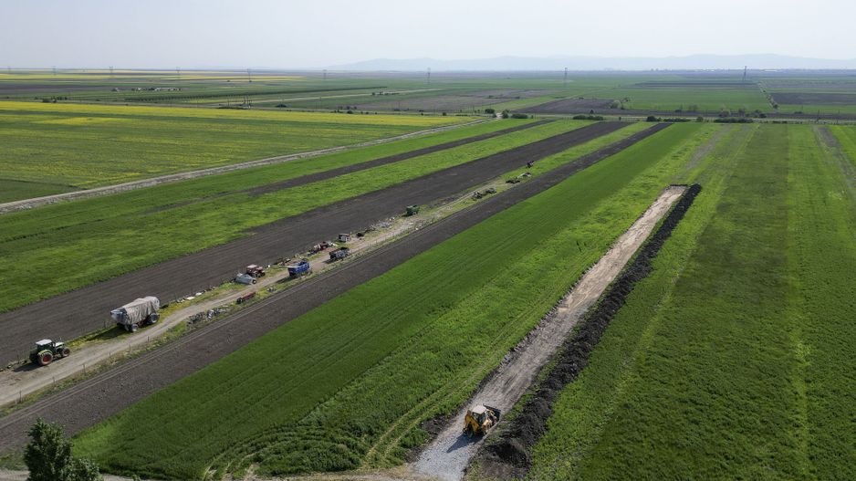 Loc de casa de 504 mp în Livada - Poză 5