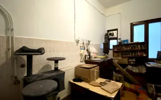 DE VANZARE CASA 6 CAMERE, CURTE SI CONSTRUCTIE SECUNDARA | COTROCENI - Poză 17