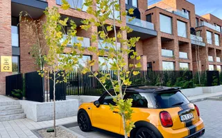 Vila urban 4 camere | Tunari-Parc - Poză 29