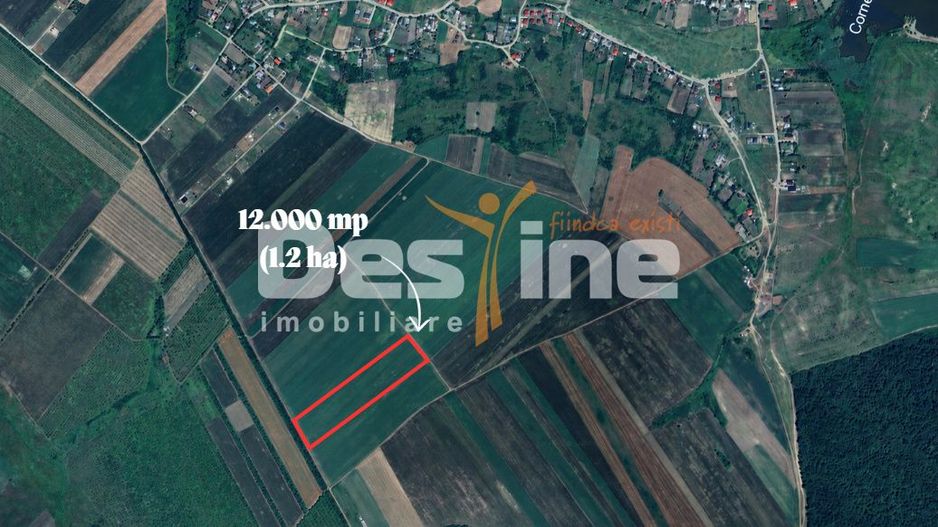 PROSELNICI – Teren extravilan 12.000 mp - Poză 1