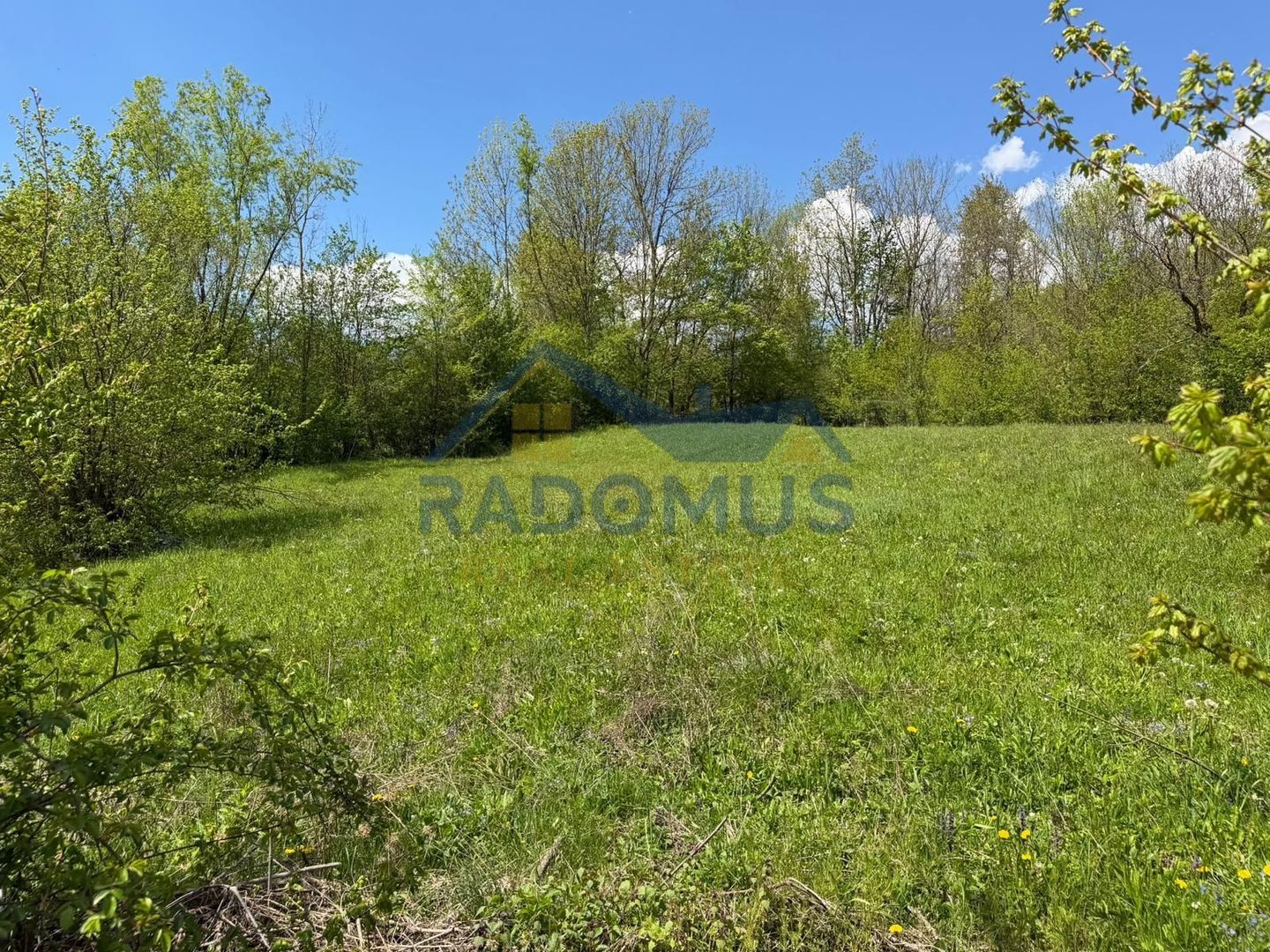 Teren Intravilan  – Provița de Jos | 1.939 mp | Curent electric - Poză 5