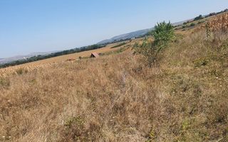 Oportunitate investitie. Oarda de Jos, 16 parcele de 490 mp - Poză 3