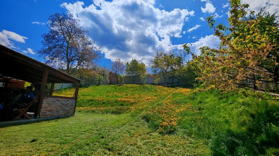 Casa / vila,  pensiune investitie zona Sacele, Brasov - Poză 34