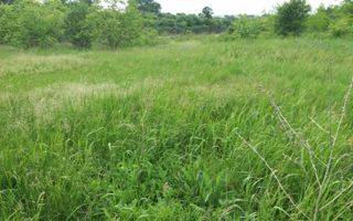 Teren Buftea cu iesire la lac - Poză 12