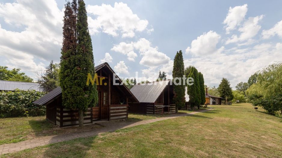 Se vinde Balta Flamina - Sat Bunești, Com. Mălureni - Poză 6