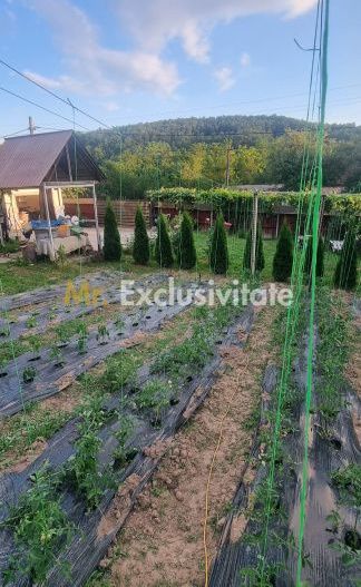 Casă P+M cu 1.558 mp teren, livadă și garaj - Poză 8