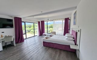 Pensiune 600 mp an 2023 si casa 130 mp teren 4600 mp zona V. Avrigului - Poză 4
