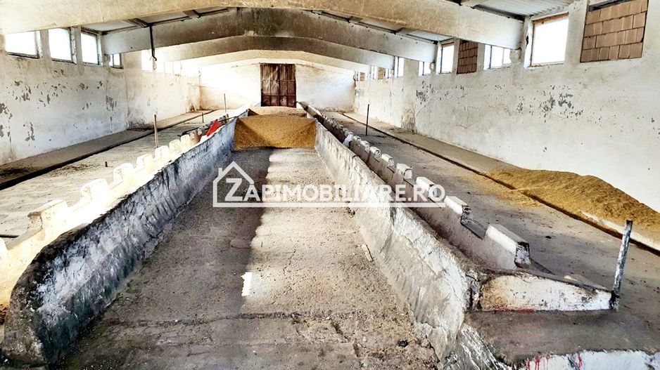 Hale cu suprafete utile de 832 mp si 578 mp. birouri 187 mp - Poză 4