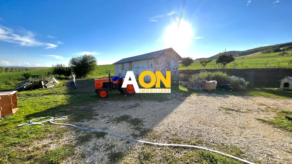 Ferma de vanzare cu 550MP utili si 27.500MP teren la asfalt - Poză 25