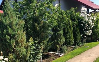 Vila - parter + mansarda -   Sendreni,  jud. Galati - Poză 10