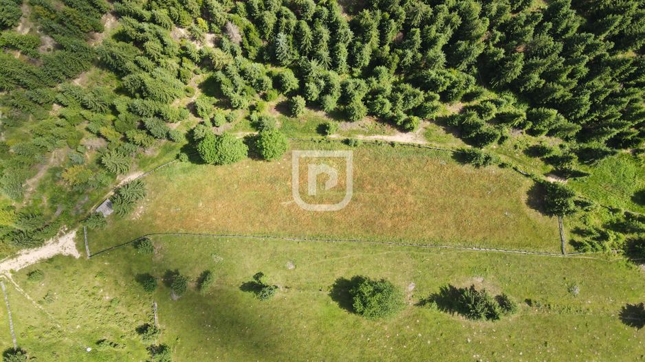 Teren 3600 mp cu priveliște montană în Mănăstirea Humorului | Bucovina - Poză 6