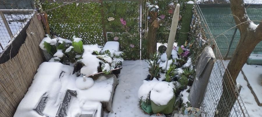 Garsonieră în vilă, terasă 10 mp, curte proprie, mobilată complet, Baba Novac - Poză 12