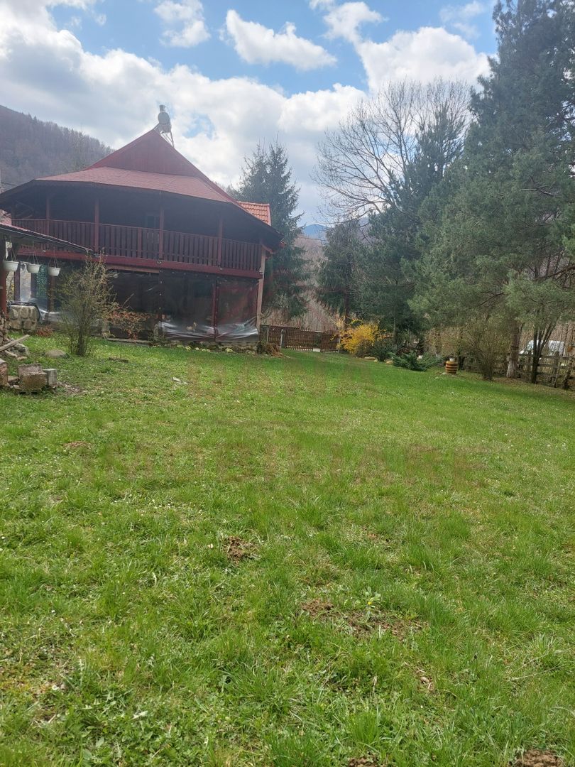 CASĂ DE VACANȚĂ 5 CAMERE,POINANA MĂRULUI, JUD.CARAȘ-SEVERIN - Poză 3