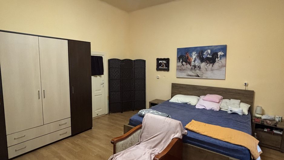 Casa cu teren și grădina zona Bogdanestilor - Poză 18