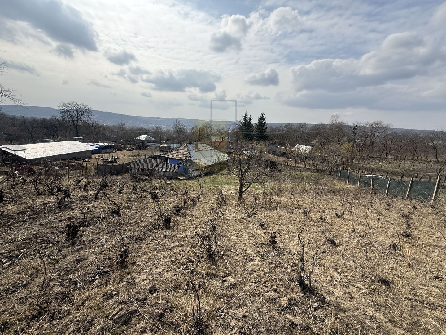 Teren intravilan Dobrovat + Casa Batraneasca - Poză 5