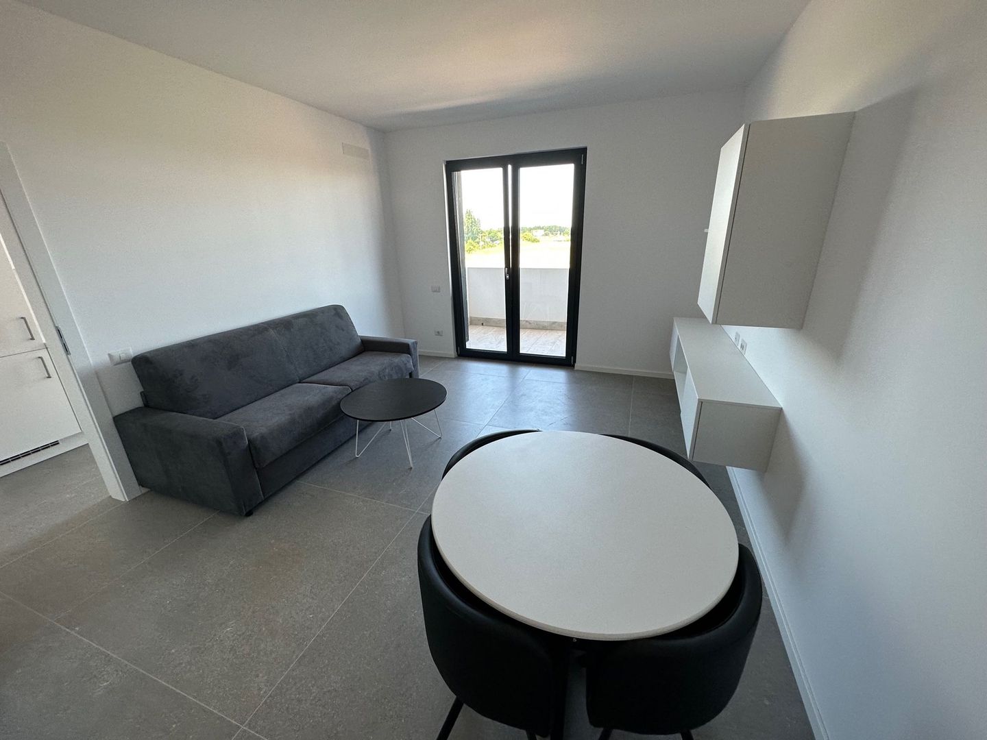 Apartament 1 camere Torontalului - Veterinary Faculty - Poză 2